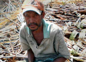 Hundreds of Brazilian Workers Rescued at Least Twice From Slavery in Past 15 Years