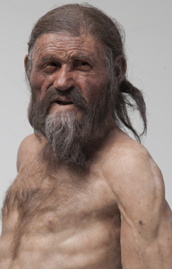 A reconstruction of Otzi the iceman's appearance at the time of his death.