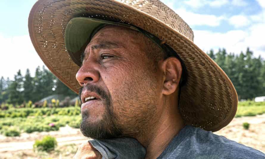 A farmworker in St Paul, Oregon, where a worker died of heat exposure last month 